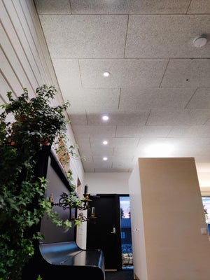 Miljoonan eri sävyn SÄDE valaisimet Philips Hue:en liitettynä.