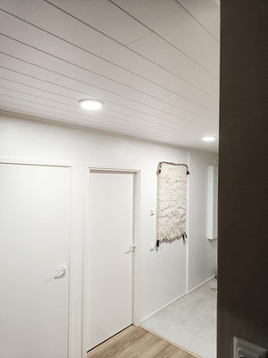 Pinta-asennettavat plafondit sopivat tilaan kuin tilaan ja ovat valomäärältään tehokkaita!