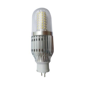 LED-PG12-1, 20W, 2100 lm, &Oslash;55*175mm